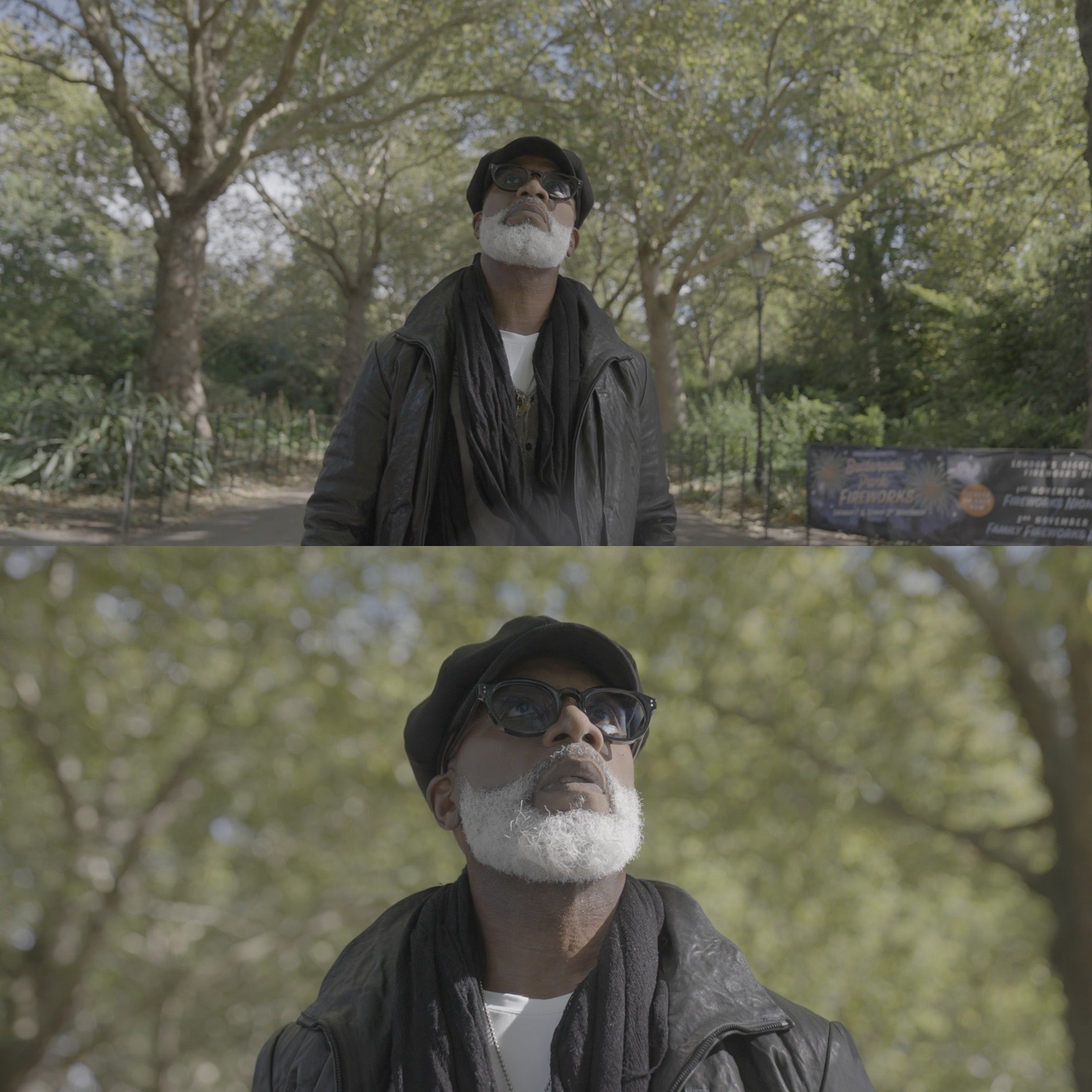 Premium Footage 50+ Clips