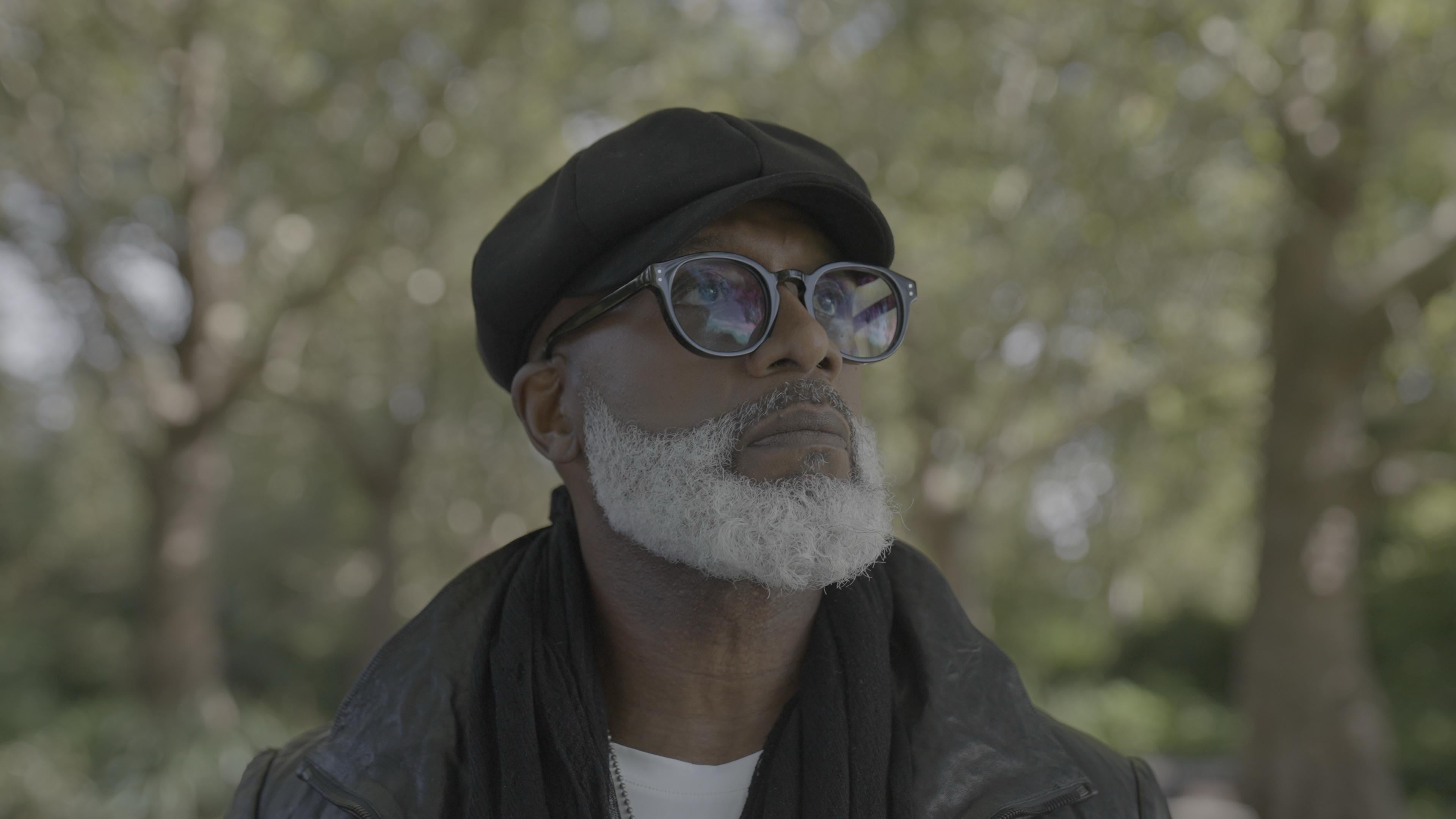 Premium Footage 70+ Clips