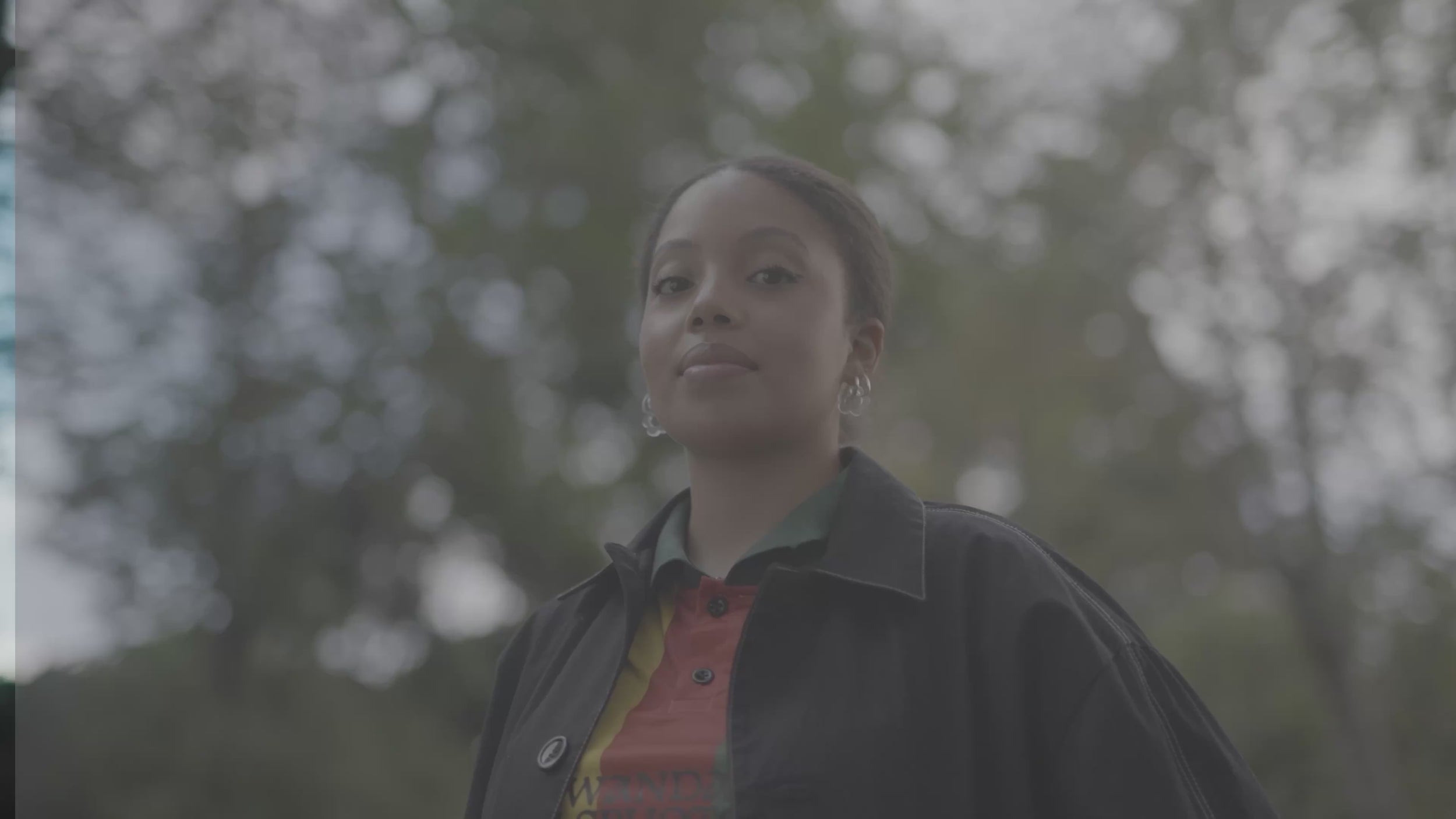 Video demonstration of Goat LUT color grading preset showing cinematic transformation on video footage