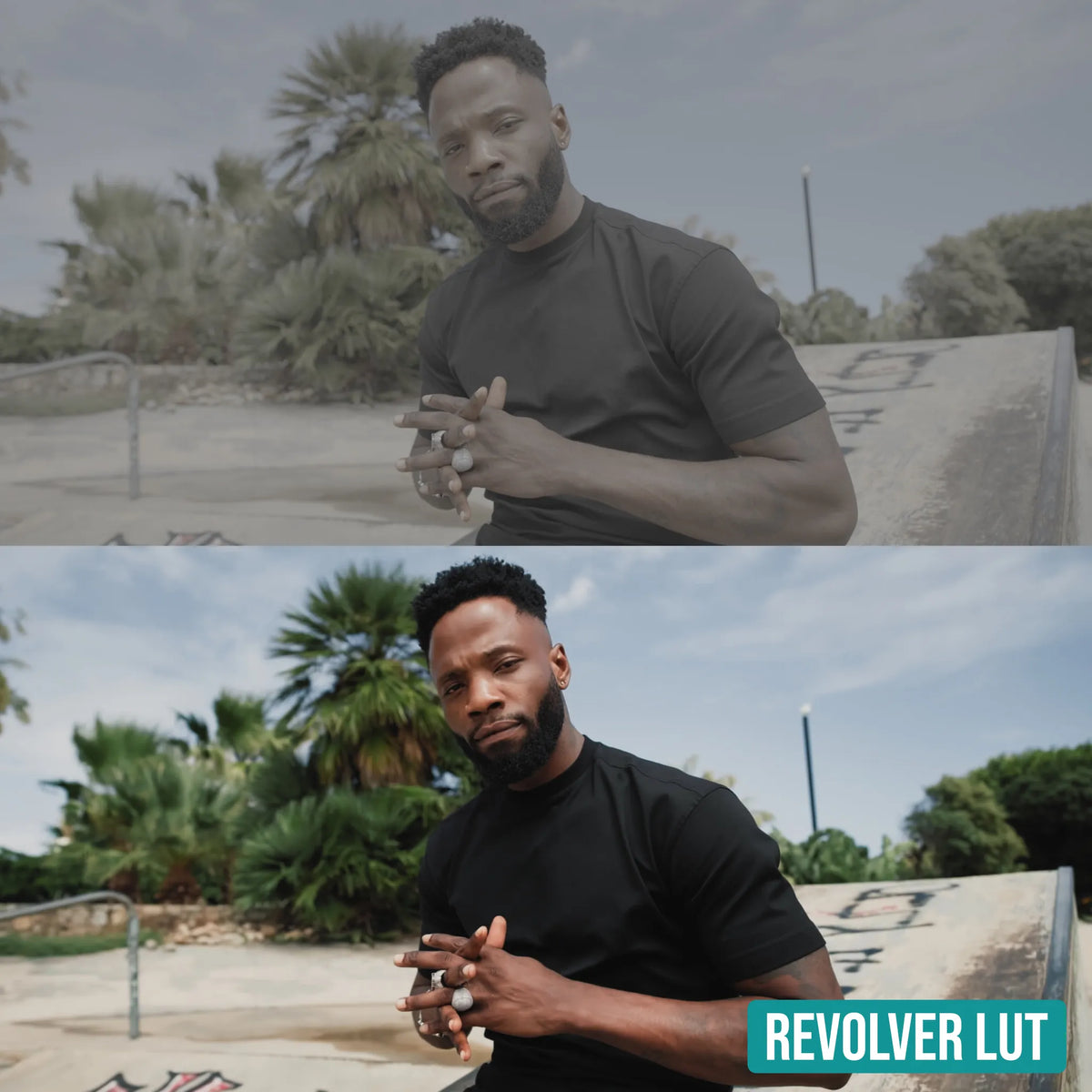 Signature LUT Bundle